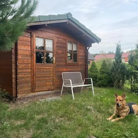 Baerenheim Paulinenaue